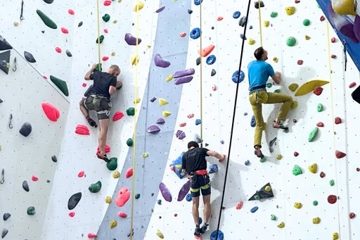 autobelay