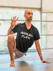 giovanni passalacqua animal flow